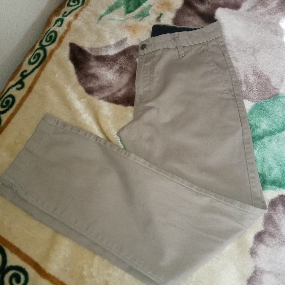 Volcom Pants